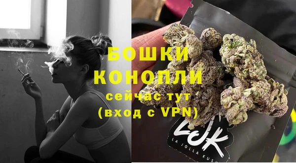 сатива Медвежьегорск