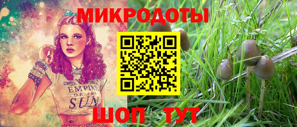 Галлюциногенные грибы Psilocybe Нарьян-Мар
