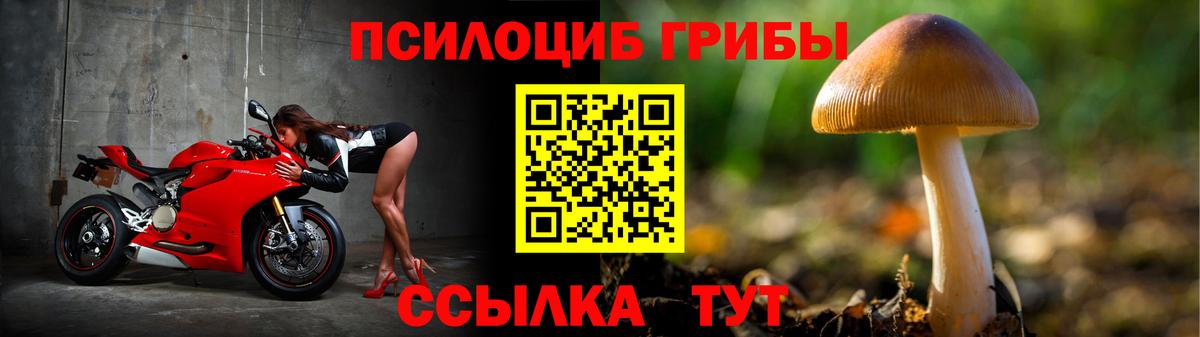 Галлюциногенные грибы прущие грибы  Вход с VPN  Нарьян-Мар  Псилоцибиновые грибы ЛСД 